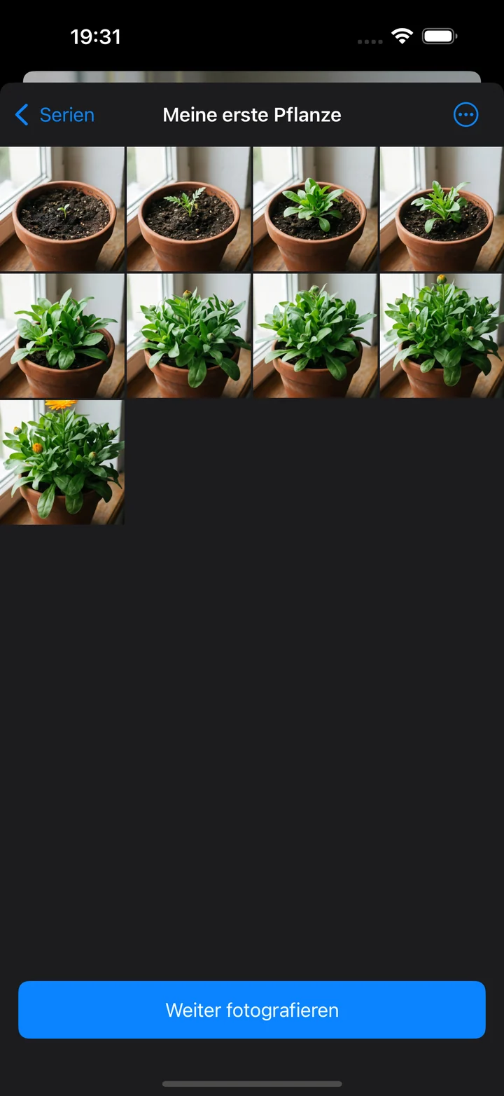Alle Fotos einer Serie im Raster